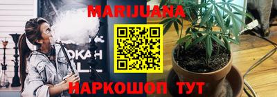 спиды Шебекино