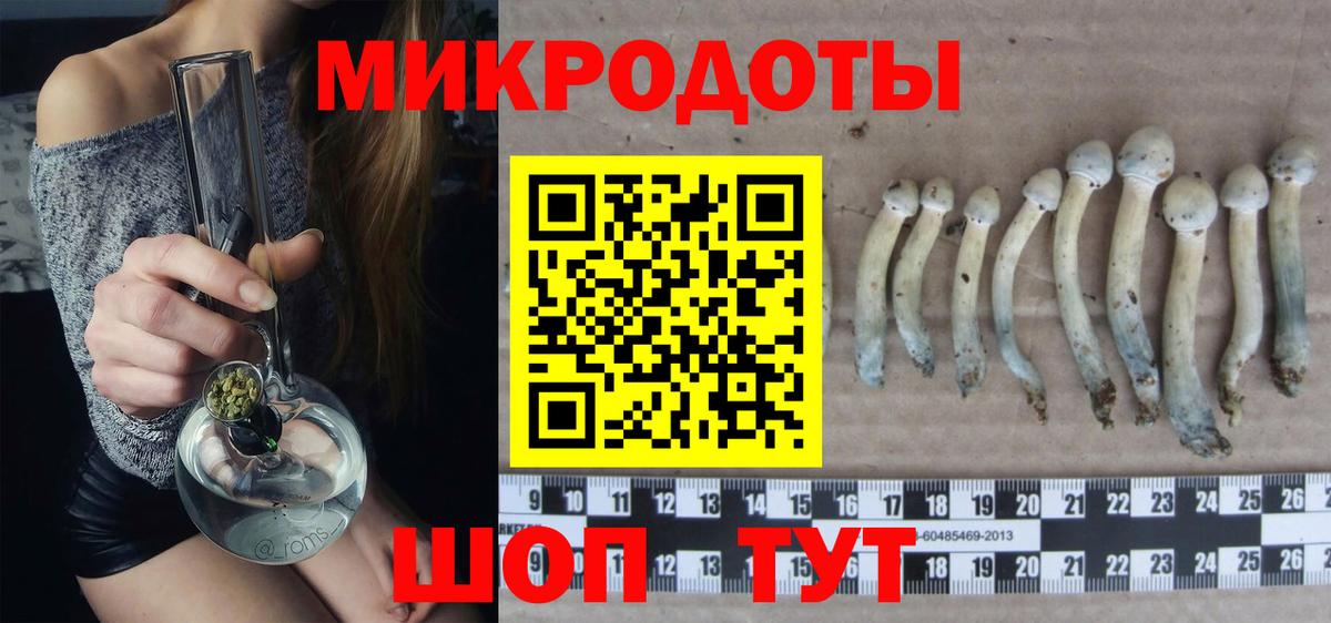 Галлюциногенные грибы мицелий Славянск-на-Кубани